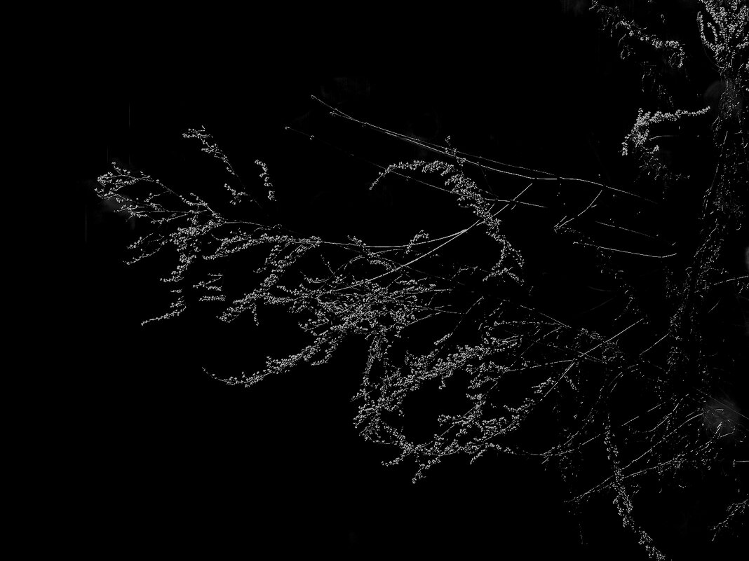 *** - Леонид leo