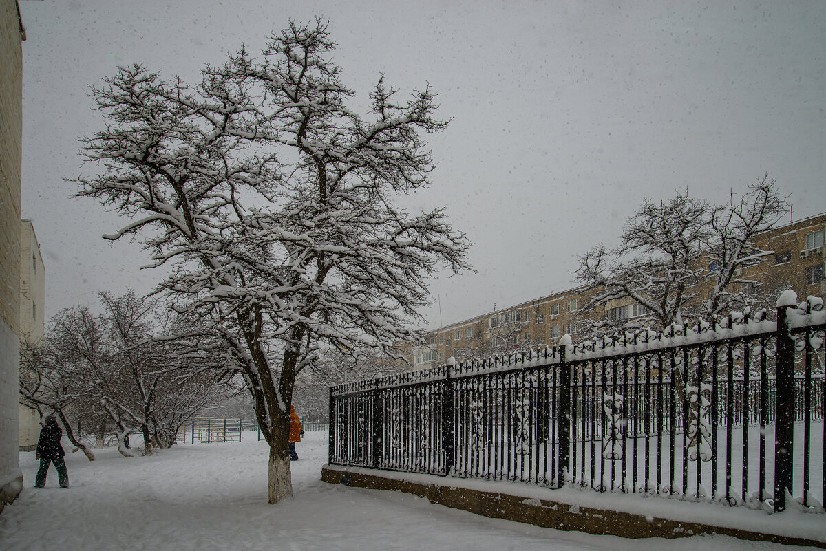 Снег идёт - Анатолий Чикчирный Снег идёт - Анатолий Чикчирный