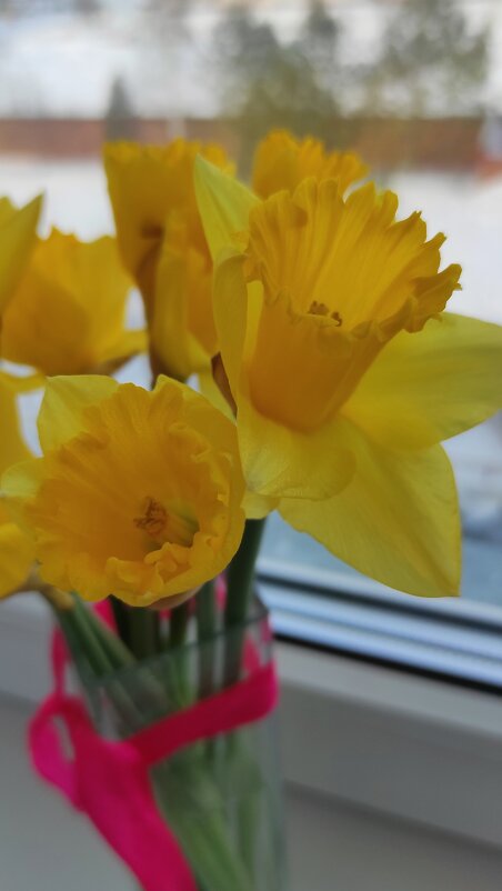 Пока зима за окном - Татьяна Лютаева