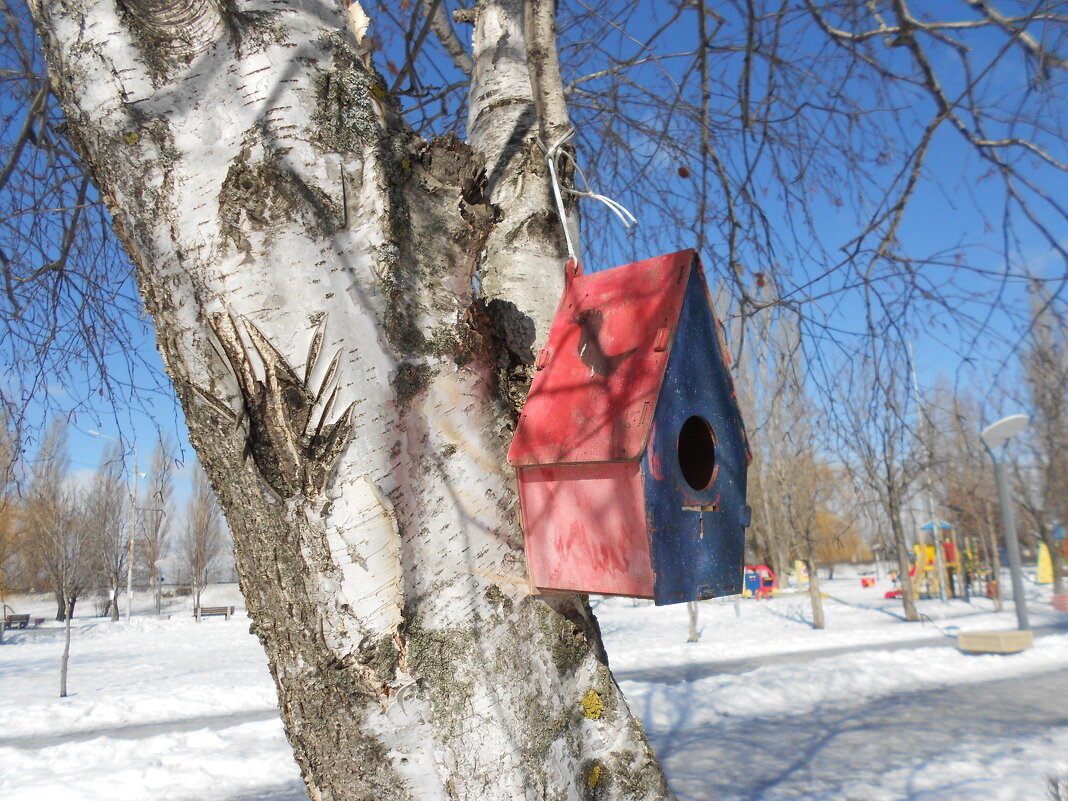 Март - Елена Шаламова