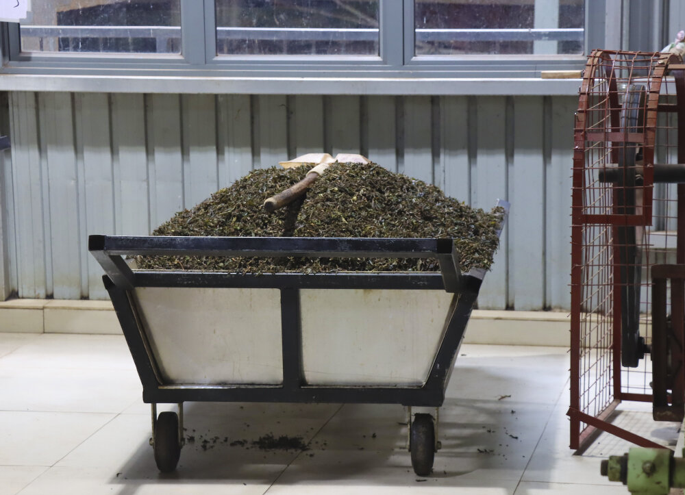 Цейлонский чай - Галина Ильясова Цейлонский чай - Галина Ильясова