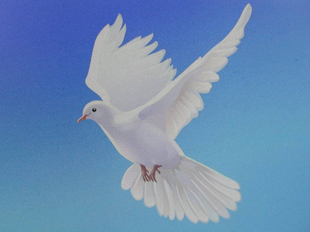 Во всей красе - Людмила Смородинская