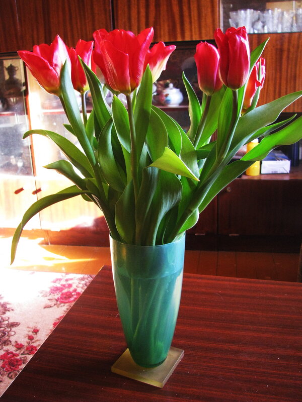 Красота - Людмила Смородинская