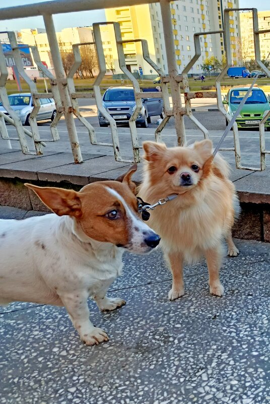 - Давай постою с тобой, чтобы один не скучал... - Vladimir Semenchukov