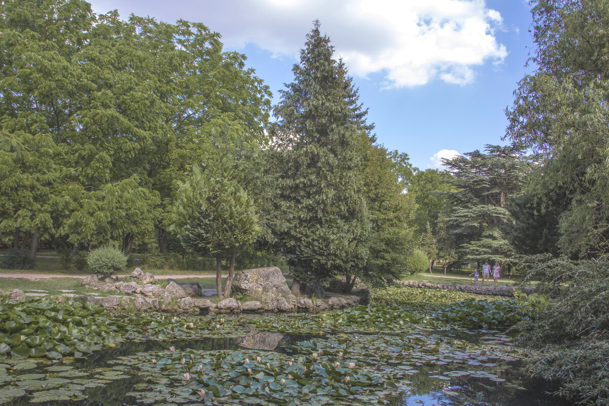 Пейзажи в ботаническом саду Н В Багрова - Валентин Семчишин