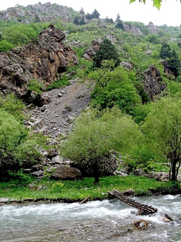 ЛЮБИМАЯ И БЛИЗКАЯ РЕЧКА. - Виктор Осипчук