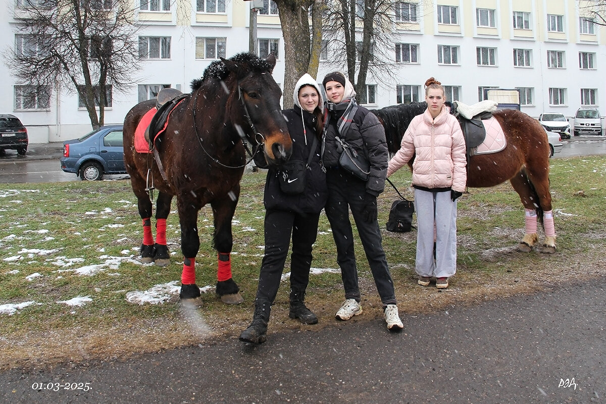 Масленица -2025. - Роланд Дубровский Масленица -2025. - Роланд Дубровский