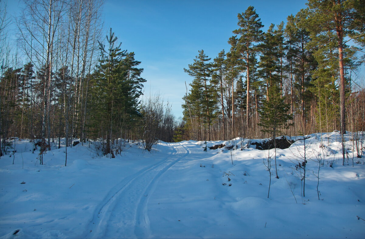 Лесная дорога - lady v.ekaterina Лесная дорога - lady v.ekaterina