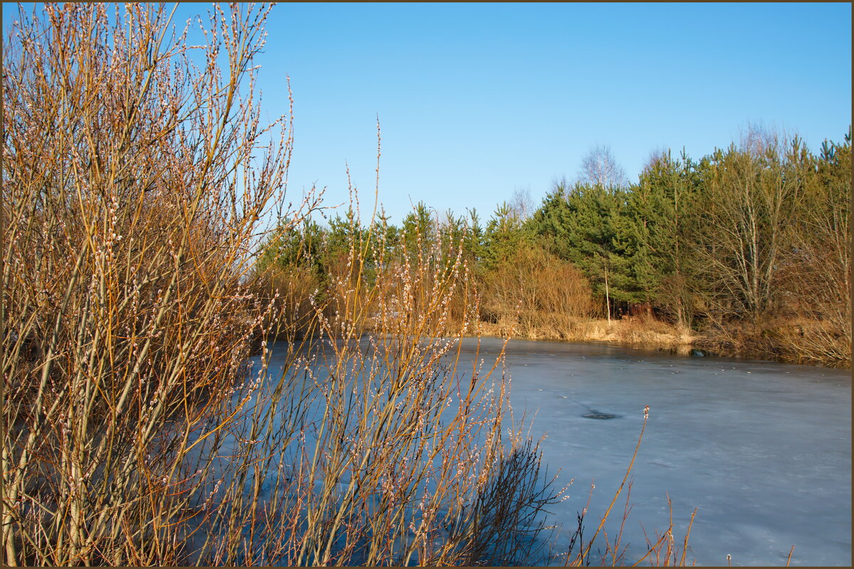 Весна! - lady v.ekaterina Весна! - lady v.ekaterina