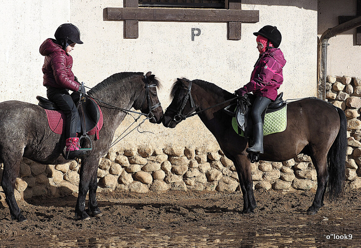 остановись мгновение - Олег Лукьянов остановись мгновение - Олег Лукьянов