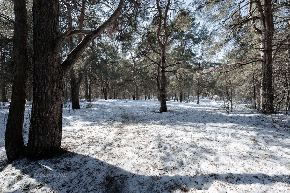 Весенняя природа - Александр Синдерёв