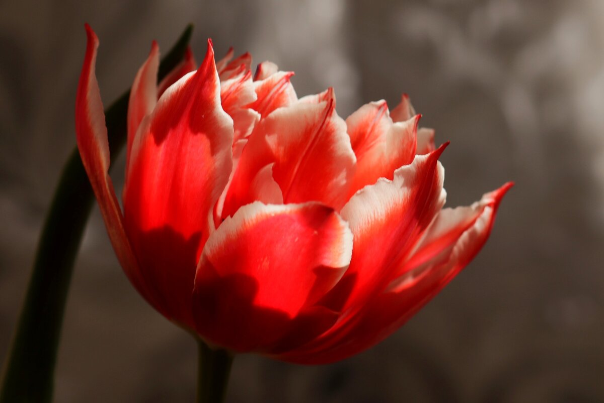 Среди серых будней - Юрий. Шмаков Среди серых будней - Юрий. Шмаков