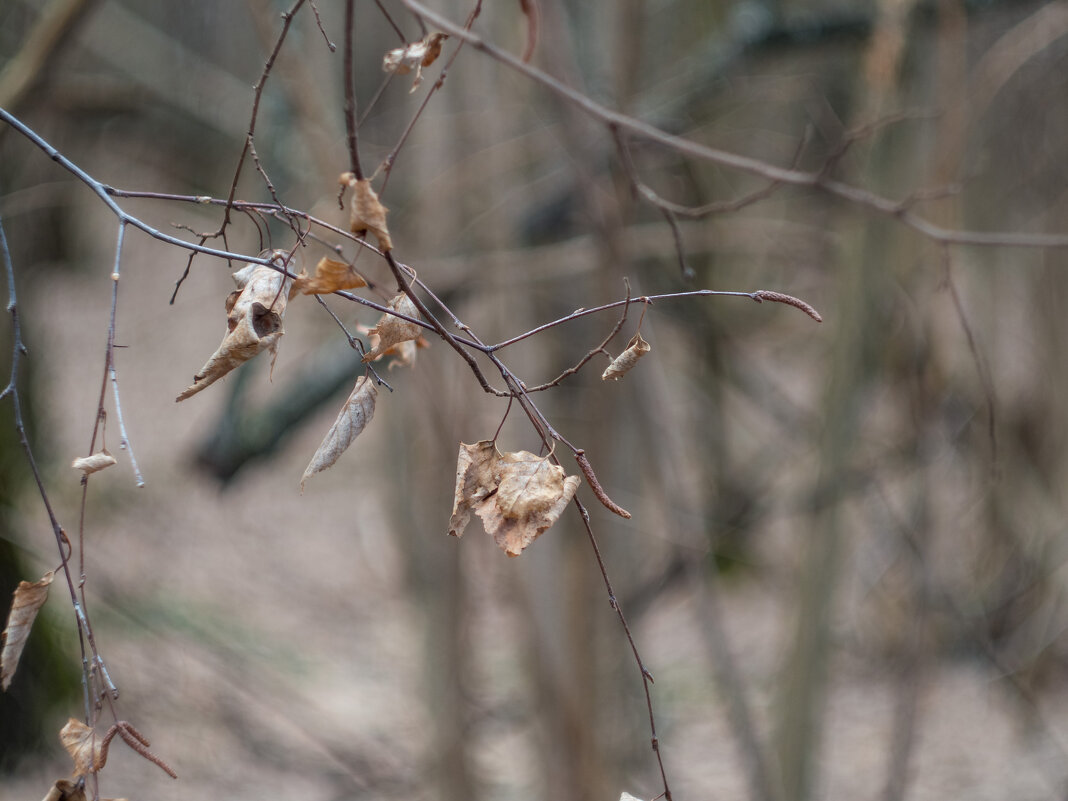 ___ - Yuriy V ___ - Yuriy V