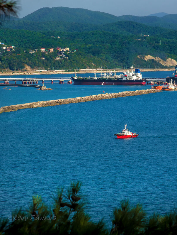 Лето! - Фёдор. Лашков