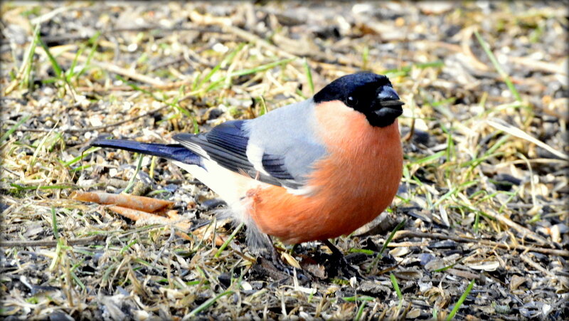 И на грунте есть чем перекусить - Сергей И на грунте есть чем перекусить - Сергей
