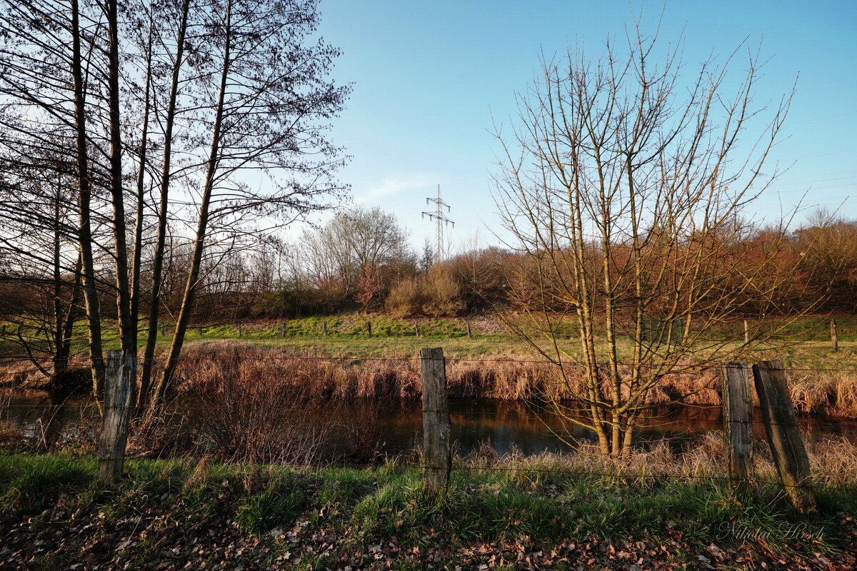 Из прогулки вокруг города... - Николай Гирш Из прогулки вокруг города... - Николай Гирш