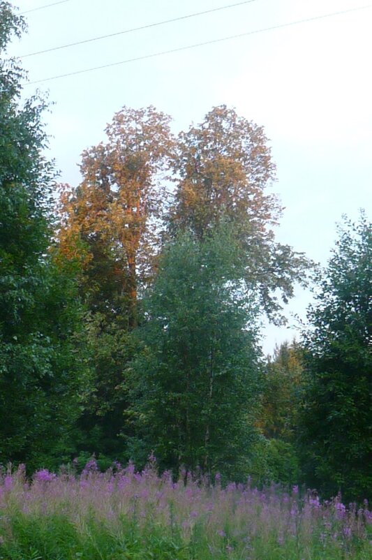 Двое - Надежда 