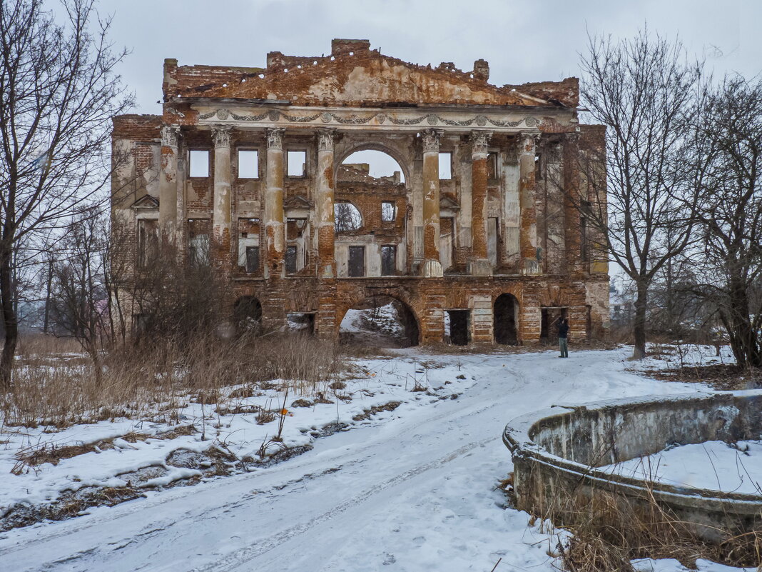 Руины дворца - Наталья Rosenwasser