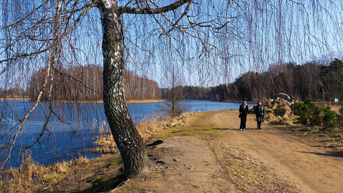Весна на Смоленщине - Милешкин Владимир Алексеевич 