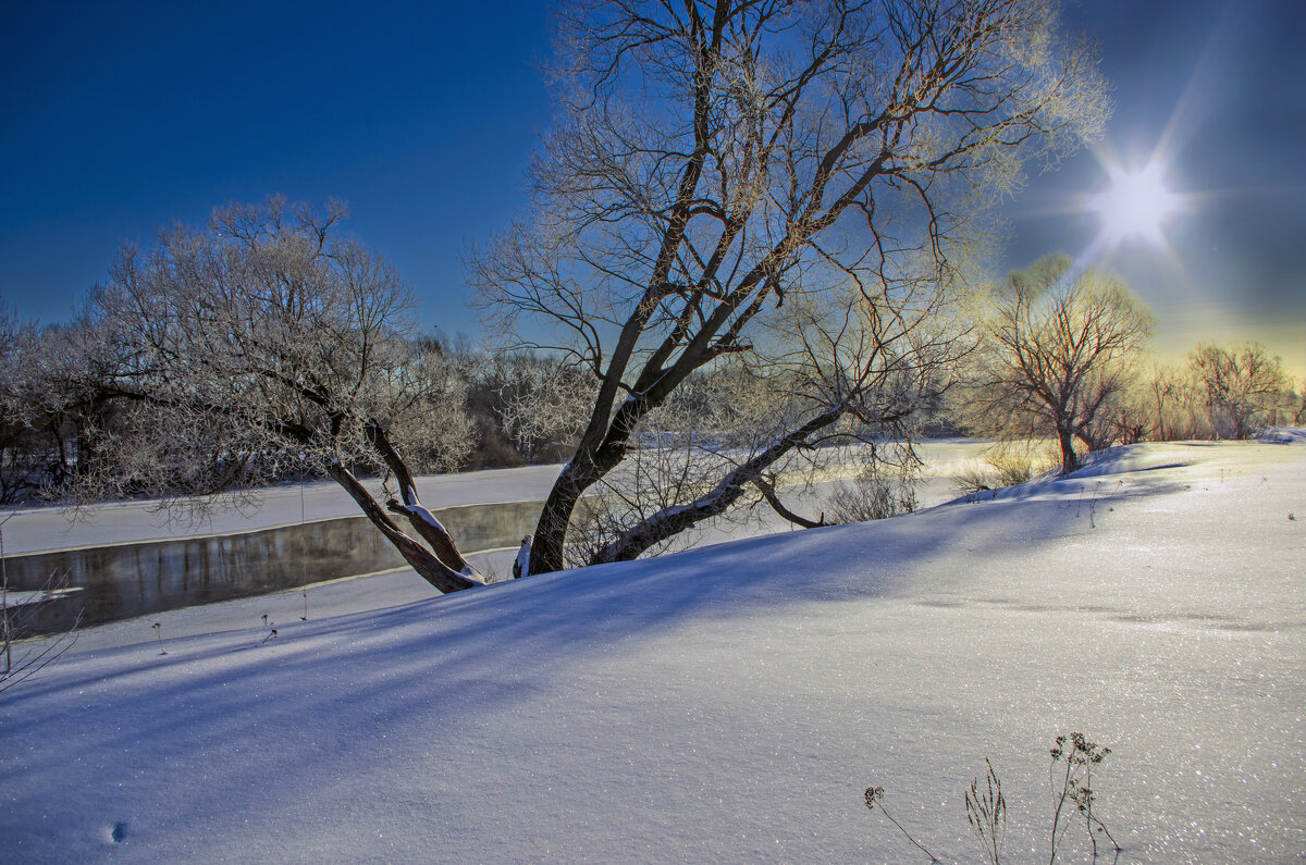 Дерево у Десны/Март - Евгений Дерево у Десны/Март - Евгений