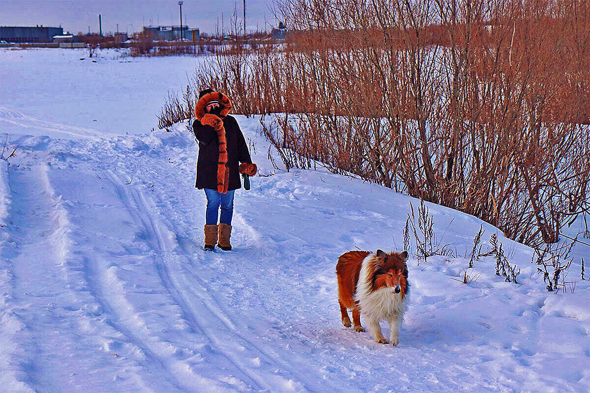 Февраль...С прогулки! - Владимир 