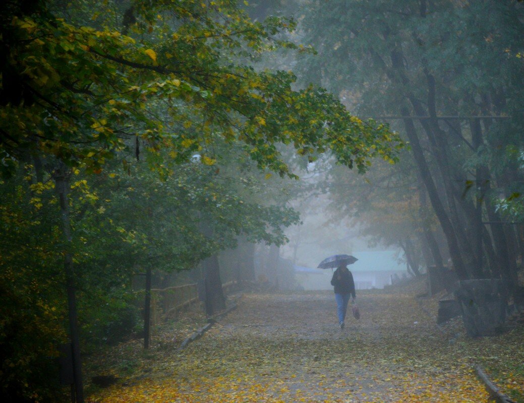 Дождливый променад...... - Юрий Цыплятников Дождливый променад...... - Юрий Цыплятников