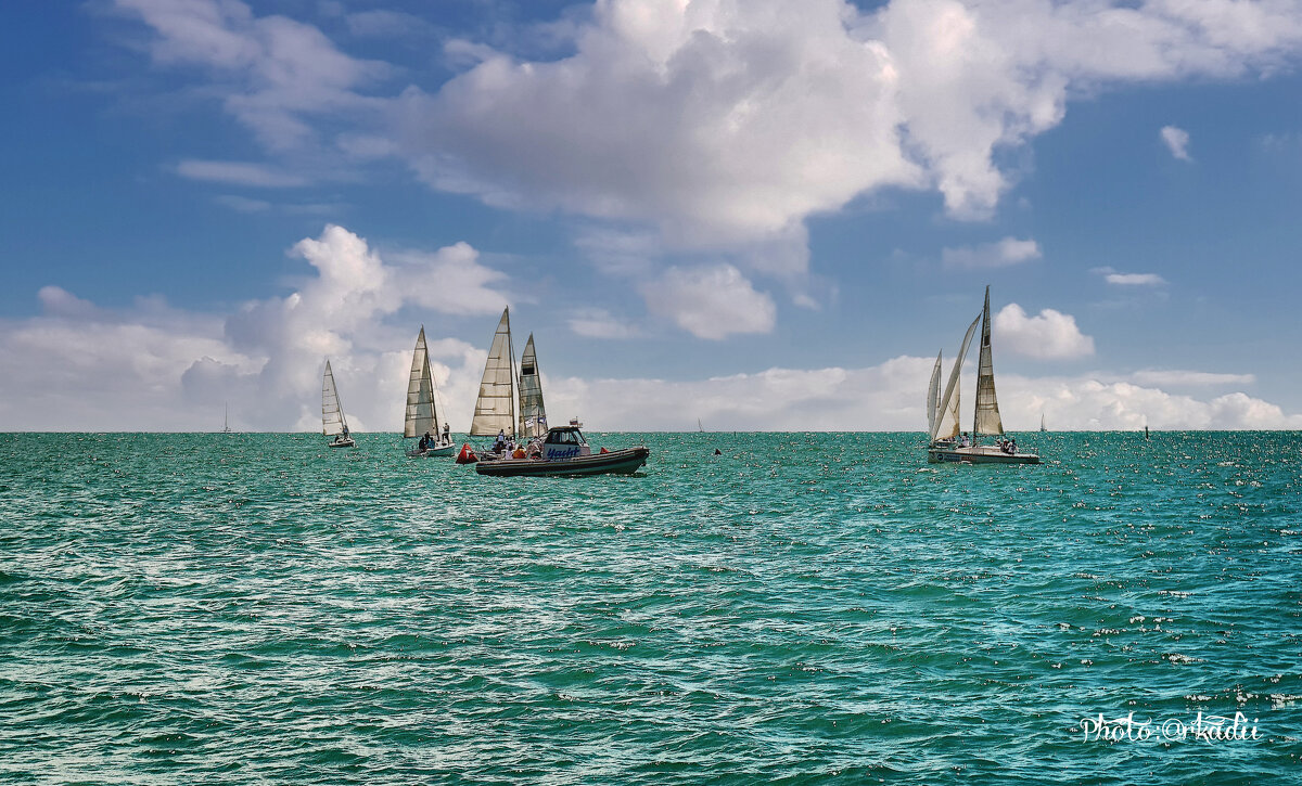 Регата - arkadii Регата - arkadii