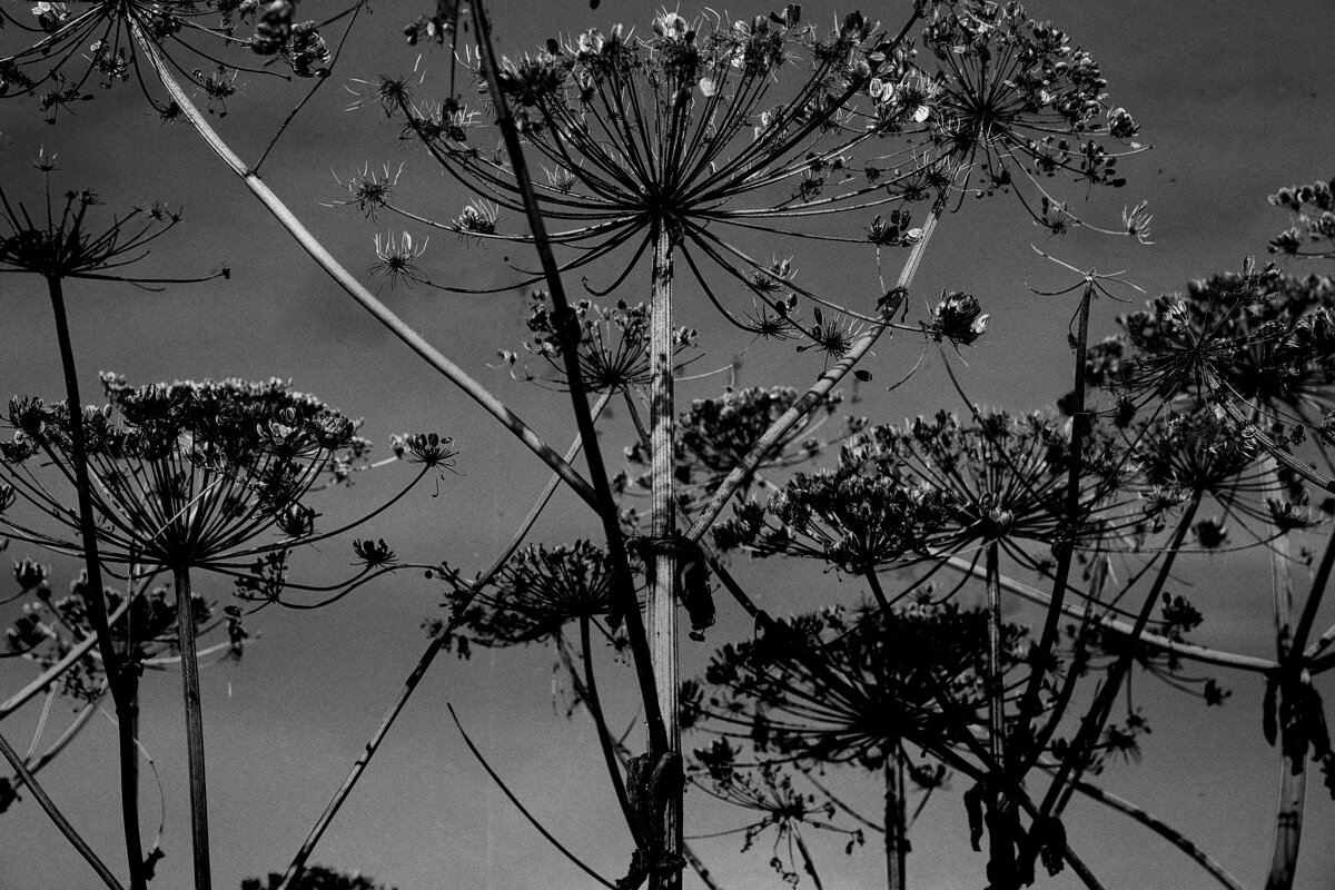 Название отсутствует - Денис Безногов Название отсутствует - Денис Безногов