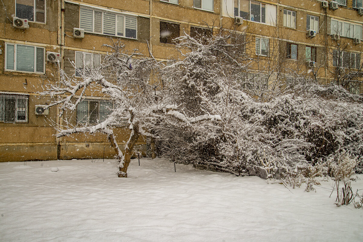 Зима - Анатолий Чикчирный Зима - Анатолий Чикчирный