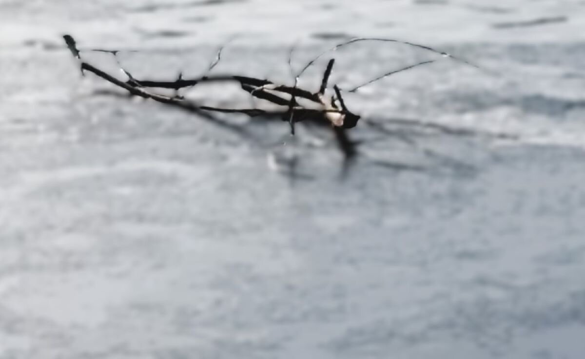 ***дирижер после концерта** - Olga Oskolkova ***дирижер после концерта** - Olga Oskolkova