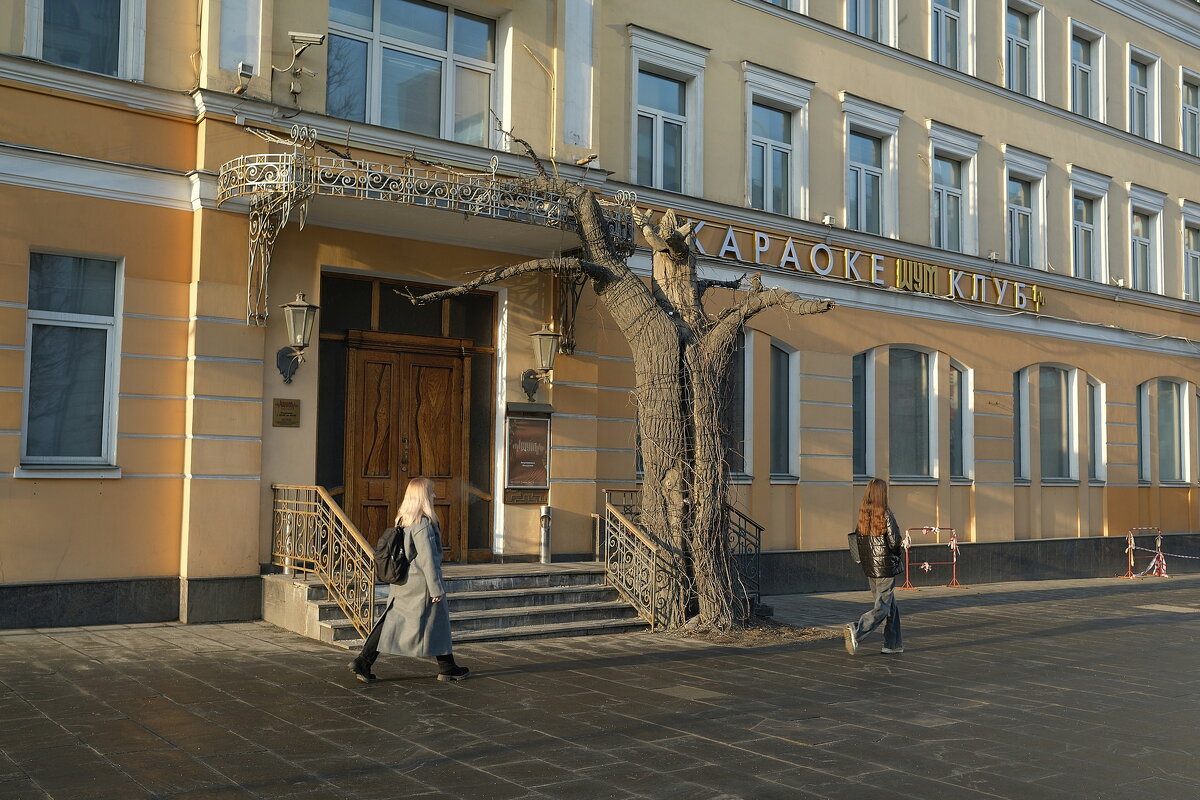 Современное озеленение - Лютый Дровосек Современное озеленение - Лютый Дровосек