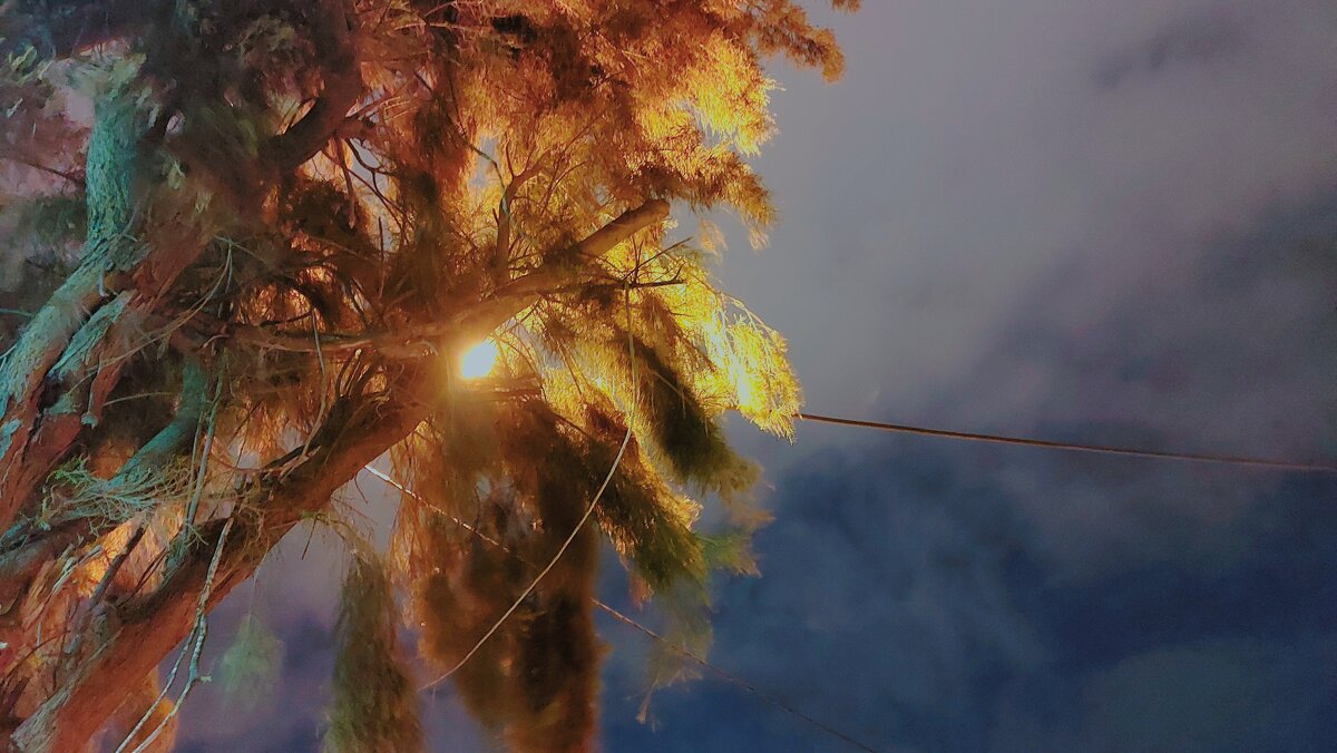 12  КЛОС (713) - CLOSE WAYS ALL