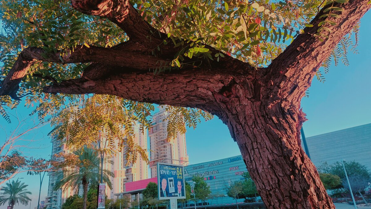 12 КЛОС (717) - CLOSE WAYS ALL 12 КЛОС (717) - CLOSE WAYS ALL