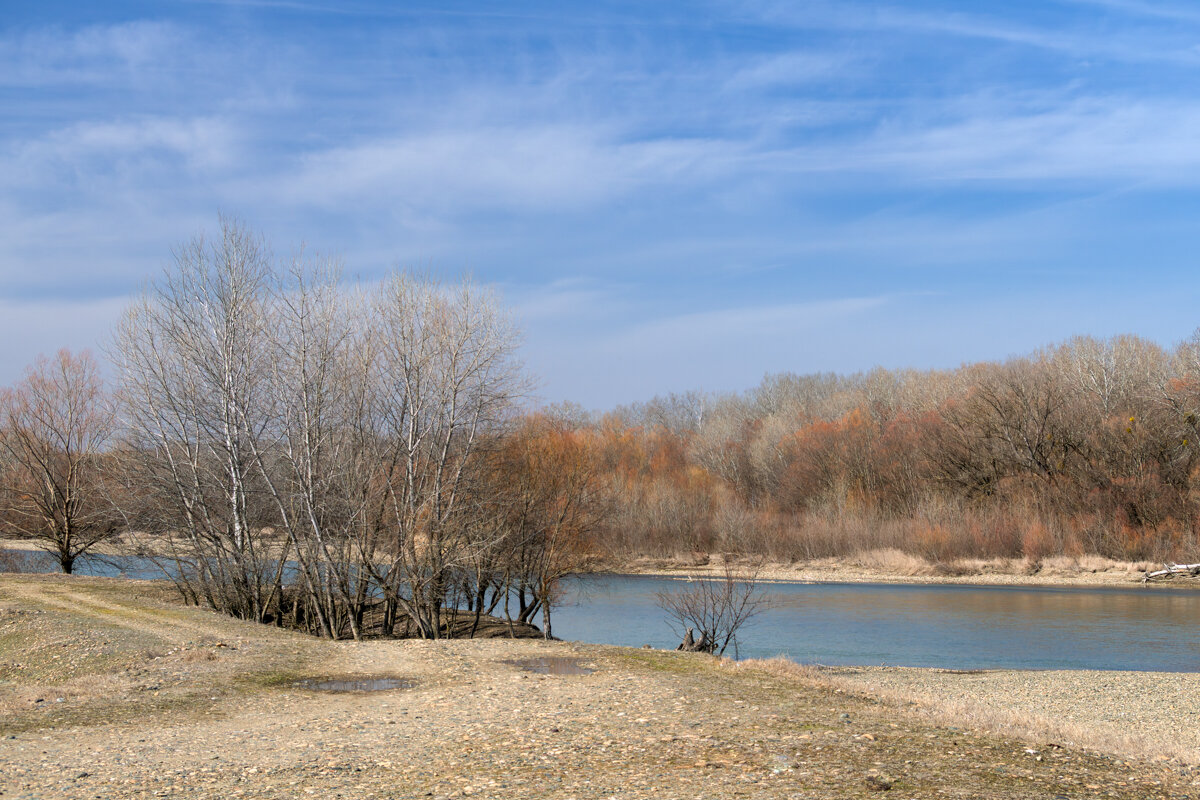 Пригрело солнышко и на прогулку! - Игорь Сикорский Пригрело солнышко и на прогулку! - Игорь Сикорский