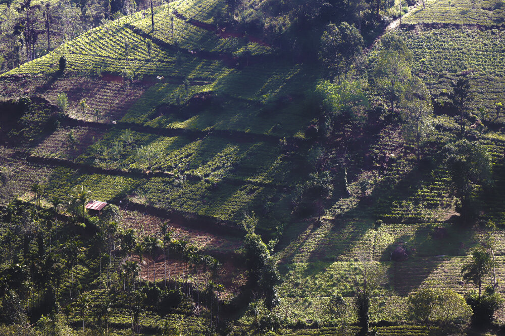 Сельскохозяйственные угодья на склонах гор - Галина Ильясова Сельскохозяйственные угодья на склонах гор - Галина Ильясова