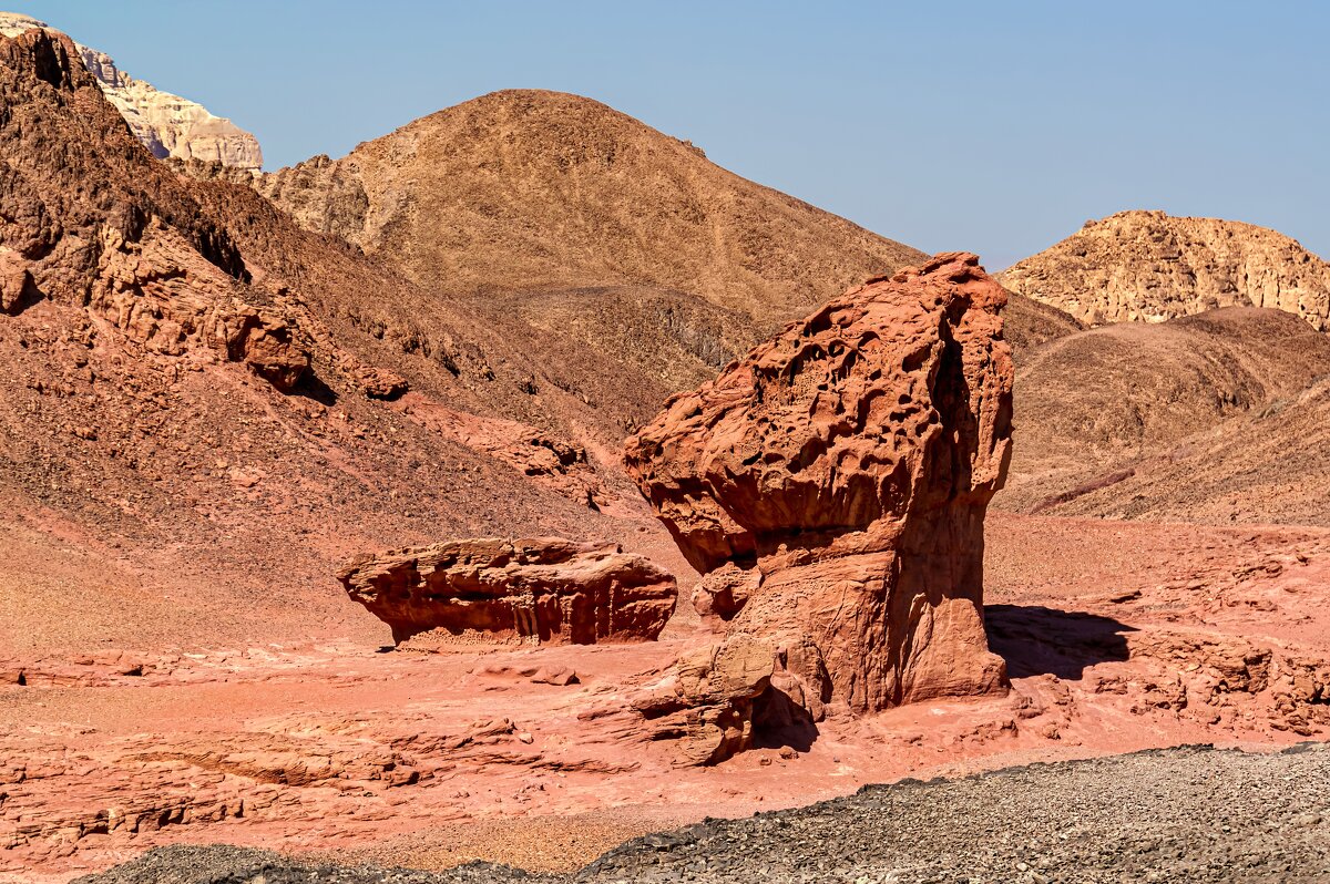Гриб с половиной - Eugene * Гриб с половиной - Eugene *