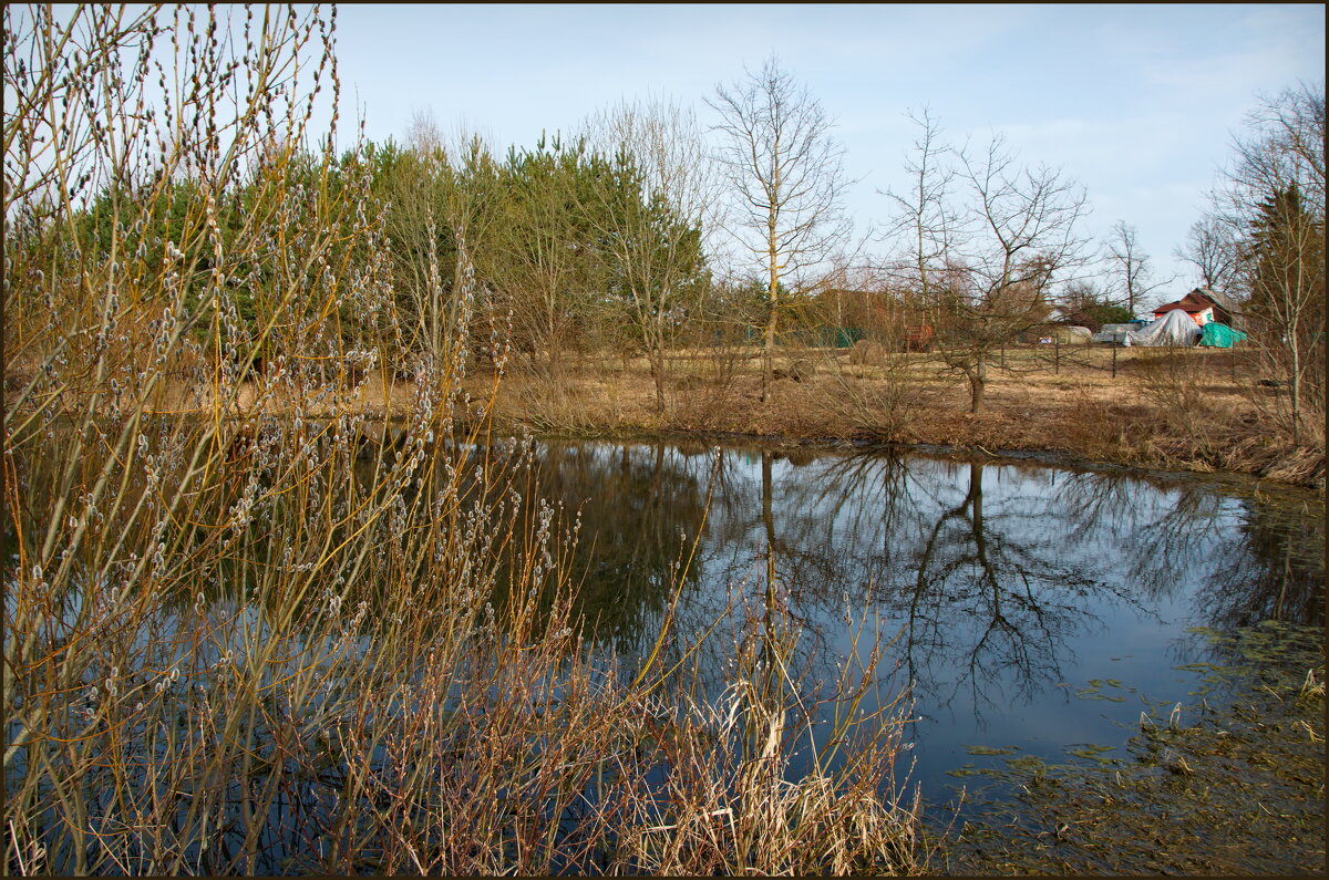 Весной у пруда - lady v.ekaterina