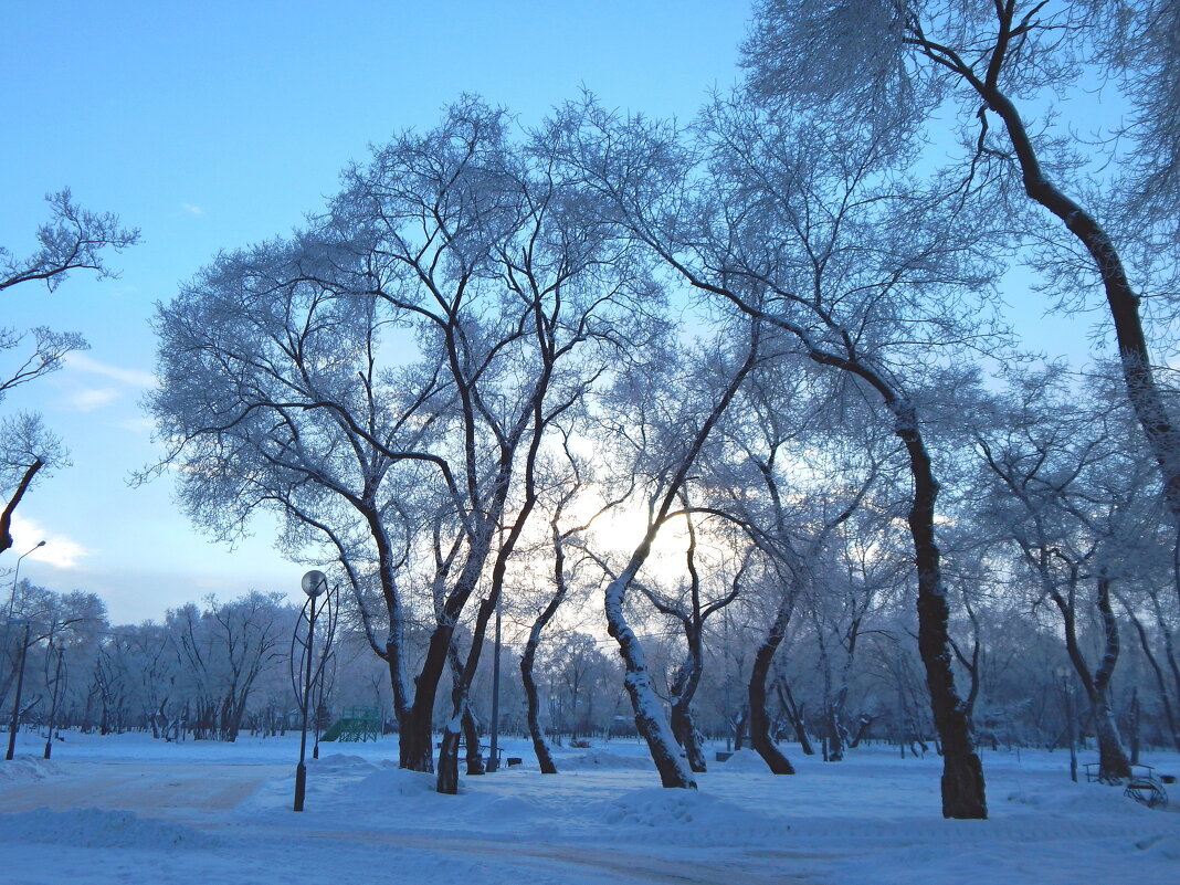 Вечер в парке - Сергей Швечков