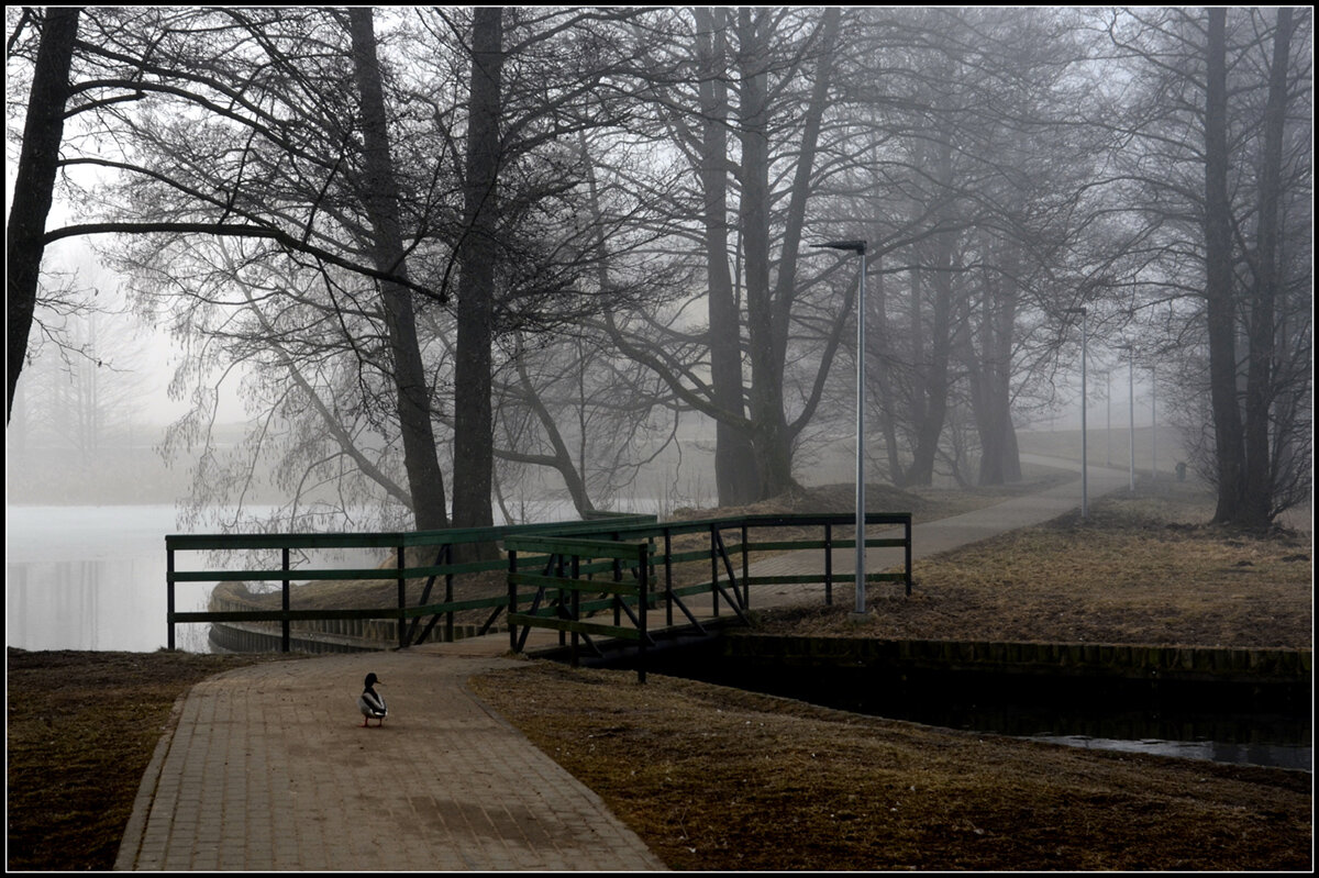 Обходит владенья свои... - Aleksandr Gal