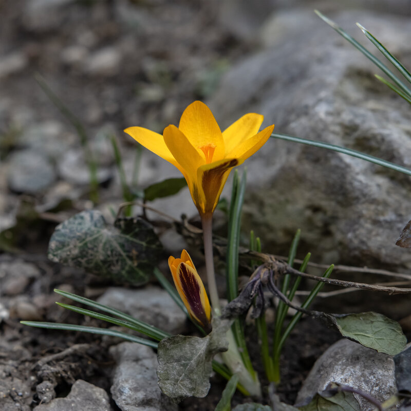 На прогулке - Валерий Басыров