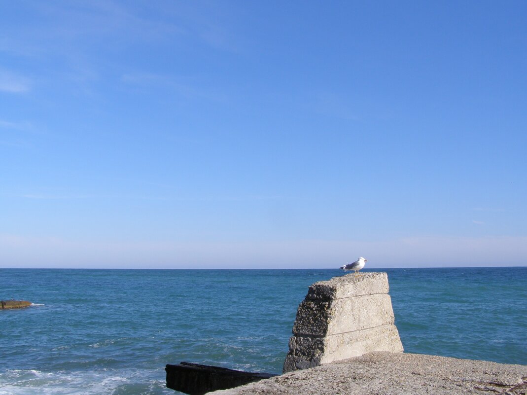 Море небо чайка - Анна Воробьева