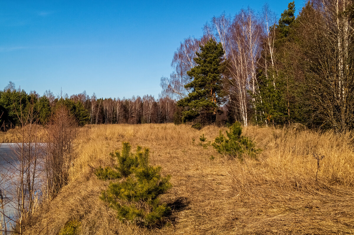 Начало Подмосковной весны 4 - Андрей Дворников