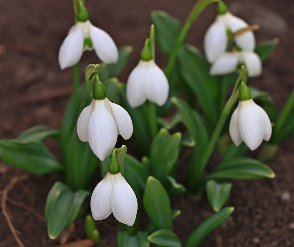 первые - Игорь Kуленко