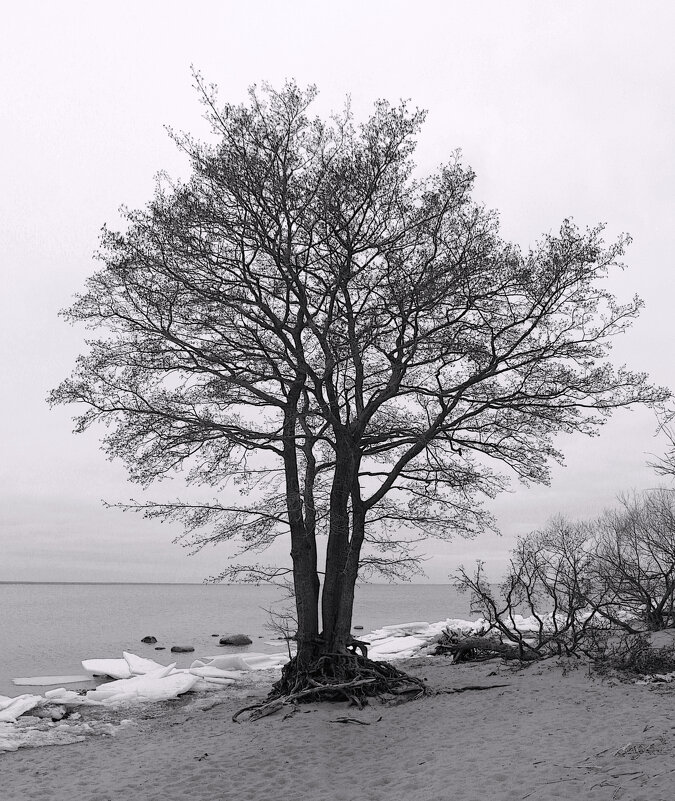 *** - Сергей Григорьев