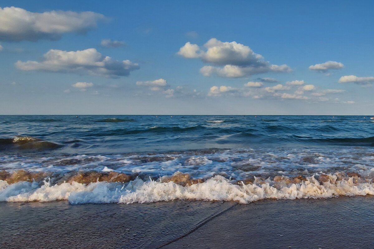 Волна - Сергей Швечков