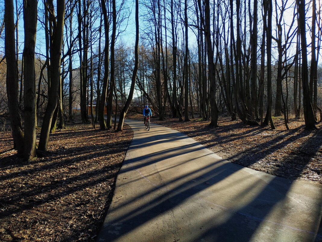 Свет и тени Лосиного острова - Андрей Лукьянов Свет и тени Лосиного острова - Андрей Лукьянов