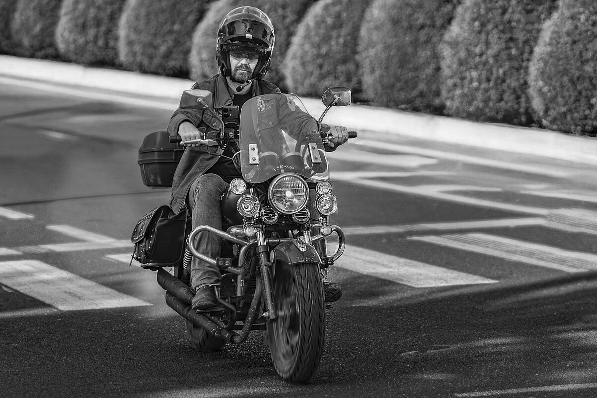 Steel horse - Shmual & Vika Retro Steel horse - Shmual & Vika Retro