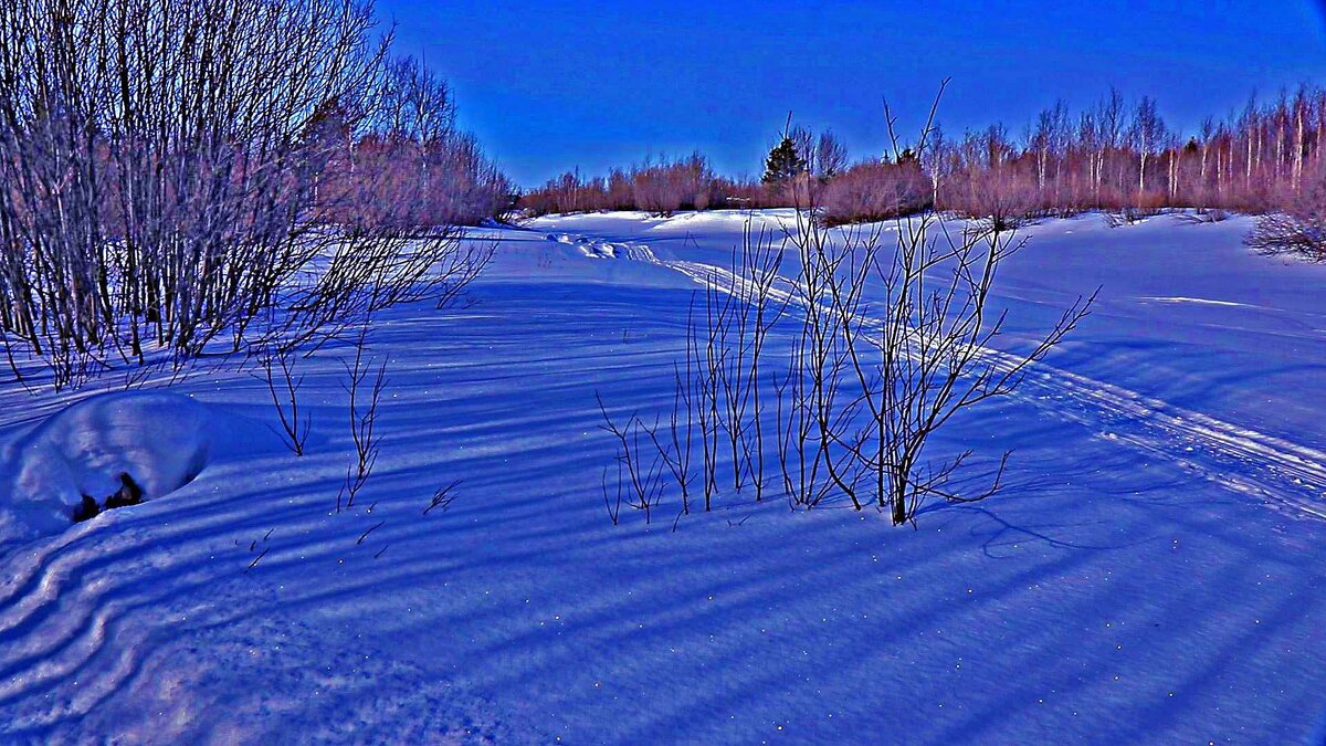 Февраль...Лыжня и ручей! - Владимир 