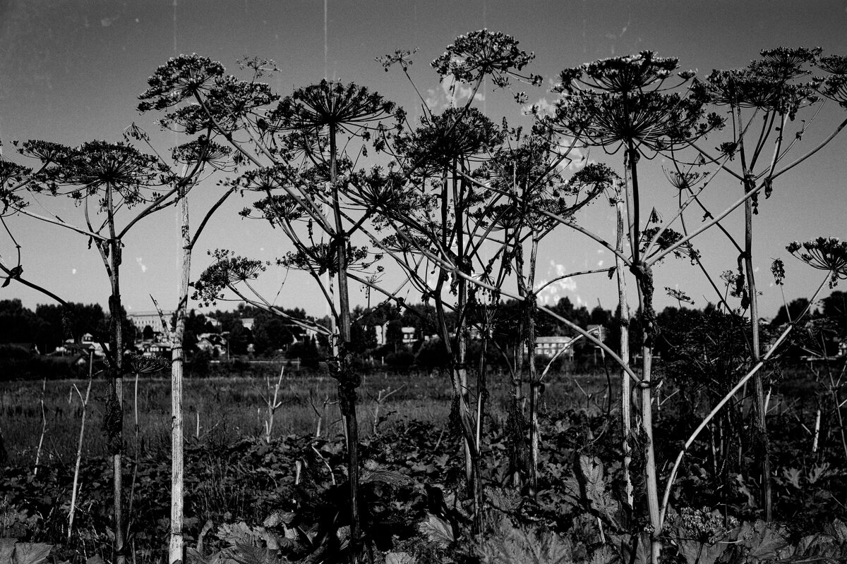 Название отсутствует - Денис Безногов Название отсутствует - Денис Безногов