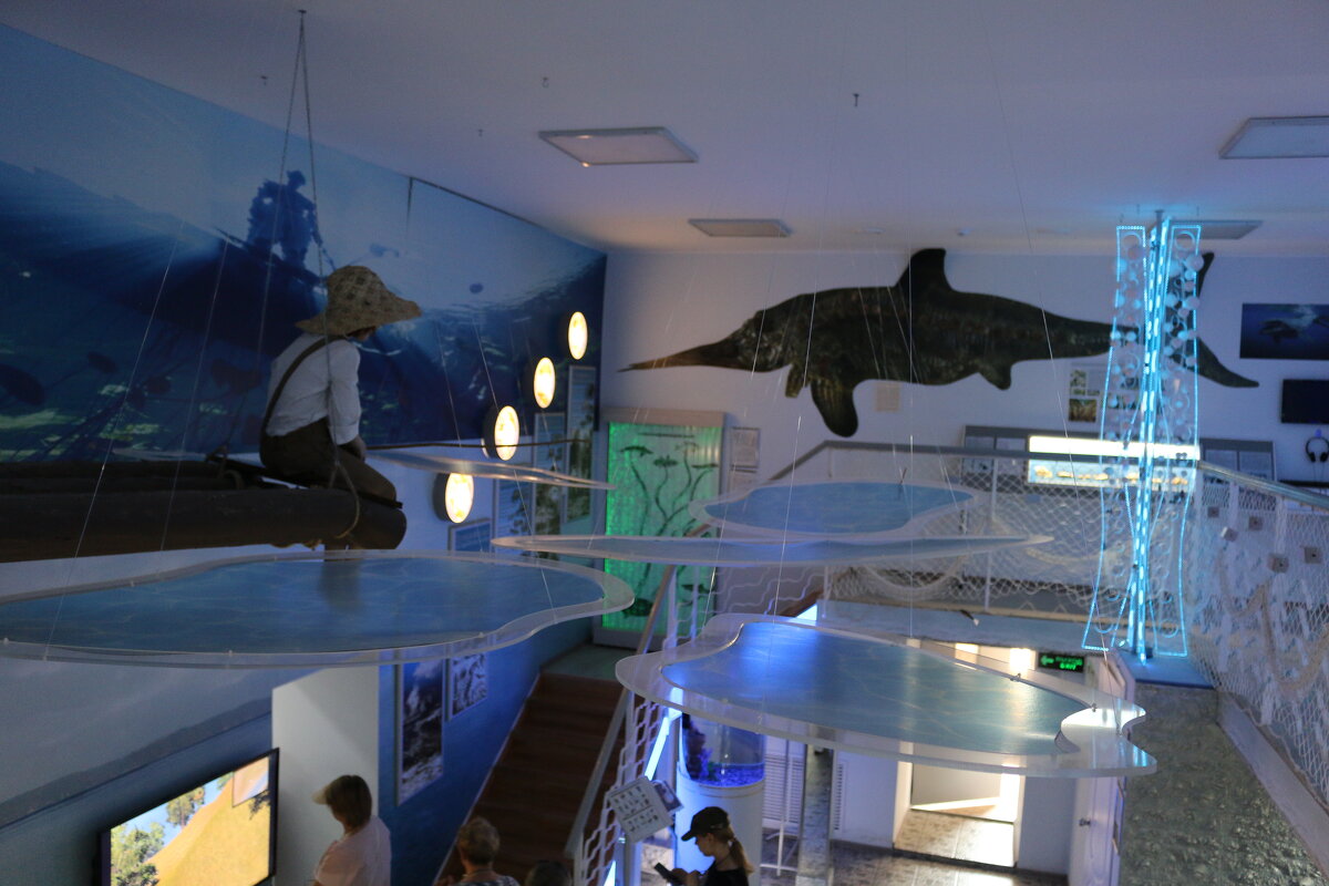 В музее Рыбы - Ольга В музее Рыбы - Ольга